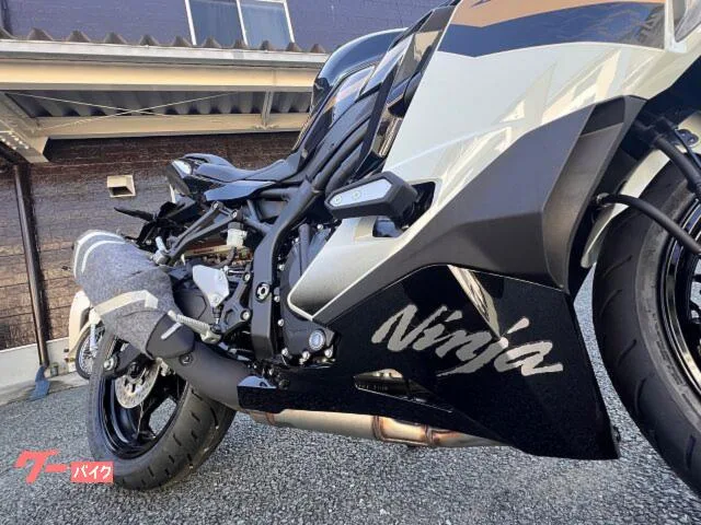 Kawasaki Ninja ZX-4R SE 2026 — миниатюра 2