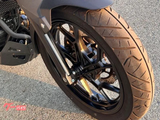 Suzuki V- 250 ETC 2022 — миниатюра 2