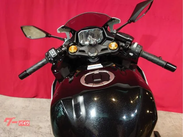 Kawasaki Ninja ZX-4R SE/ 2026 — миниатюра 5