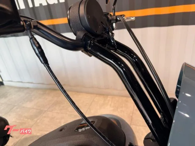 HARLEY-DAVIDSON FXLRS S 2024 — миниатюра 2