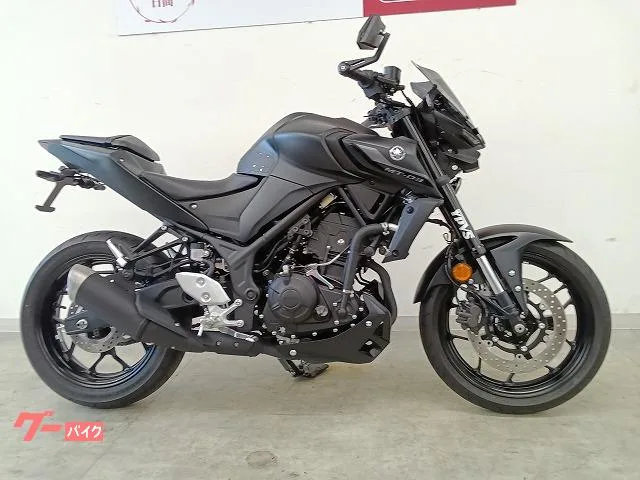 Yamaha MT-03(320cc)// 2022 — миниатюра 5