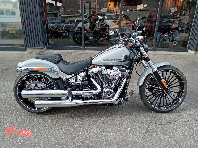 HARLEY-DAVIDSON FXBR ETC 2024 — фото 1, купить с доставкой в Москву