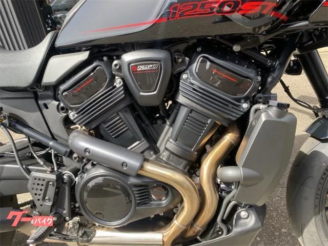 HARLEY-DAVIDSON 1250ST 2025 — миниатюра 2