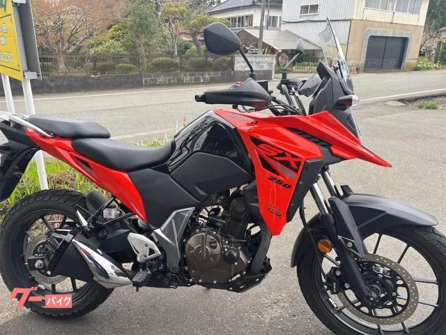Suzuki V- 250SX 2024 — миниатюра 2