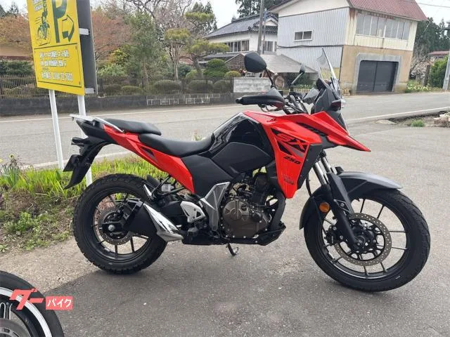 Suzuki V- 250SX 2024 — фото 1, купить с доставкой в Москву