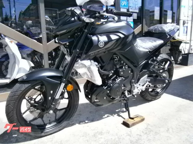 Yamaha MT-25 ABS 2023 — миниатюра 2