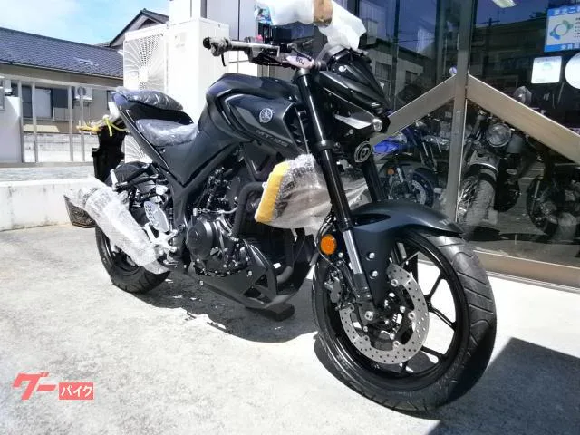 Yamaha MT-25 ABS 2023 — миниатюра 3