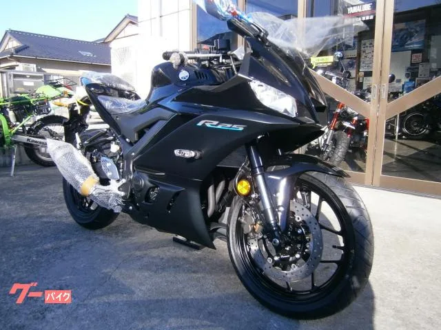 Yamaha YZF-R25 ABS 2024 2 2024 — миниатюра 3