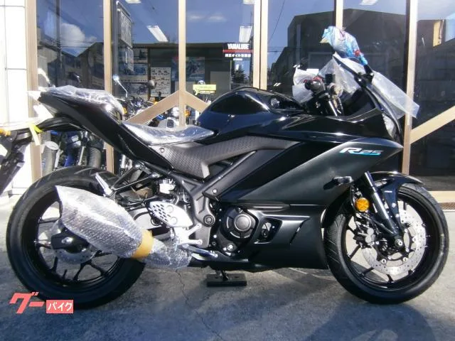 Yamaha YZF-R25 ABS 2024 2 2024 — фото 1, купить с доставкой в Москву