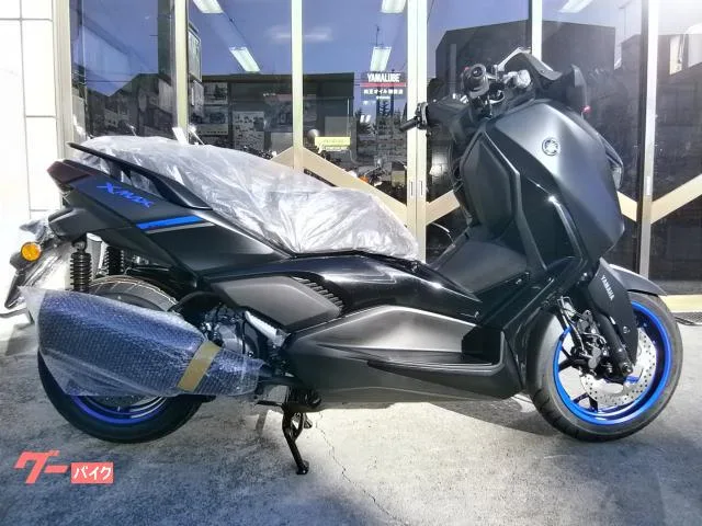 Yamaha X-MAX250 ABS 2024 2 2024 — фото 1, купить с доставкой в Москву