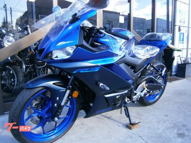 Yamaha YZF-R3 ABS 2 2024 — миниатюра 2