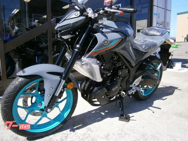 Yamaha MT-25 ABS 2 2023 — миниатюра 2