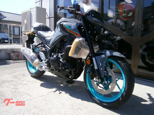 Yamaha MT-25 ABS 2 2023 — миниатюра 3