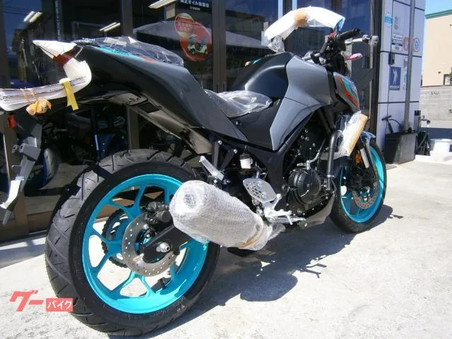 Yamaha MT-25 ABS 2 2023 — миниатюра 4