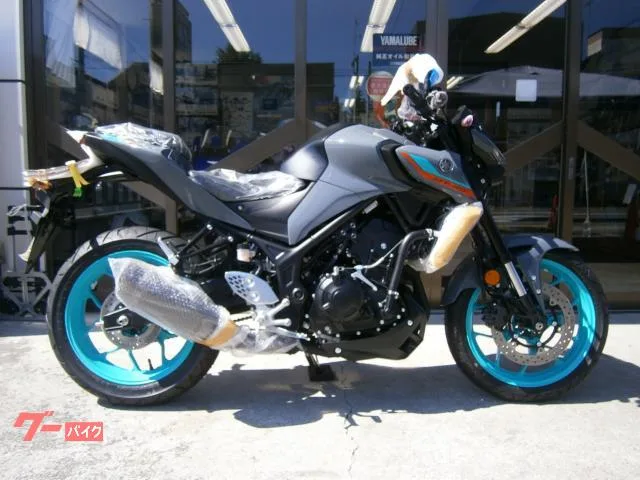 Yamaha MT-25 ABS 2 2023 — фото 1, купить с доставкой в Москву