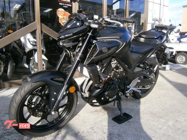 Yamaha MT-03(320cc)ABS 2023 — миниатюра 2