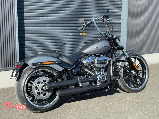 HARLEY-DAVIDSON FXBRS 114 14 VP VH 2022 — миниатюра 3