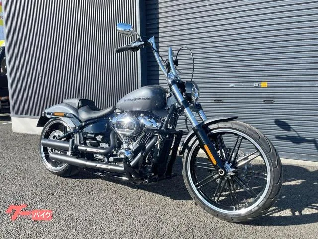 HARLEY-DAVIDSON FXBRS 114 14 VP VH 2022 — фото 1, купить с доставкой в Москву
