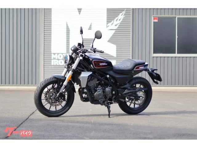 HARLEY-DAVIDSON X350 2024 2024 — миниатюра 4