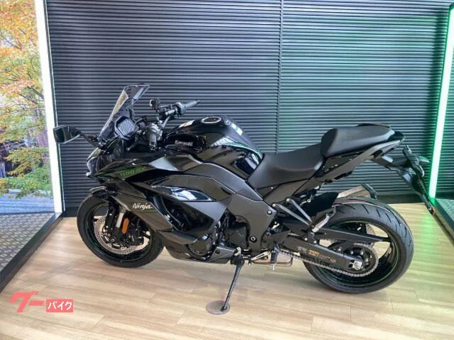 Kawasaki Ninja 1100 SX 2025 — миниатюра 5