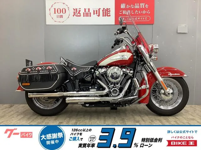 HARLEY-DAVIDSON FLI 1750 2024 — фото 1, купить с доставкой в Москву