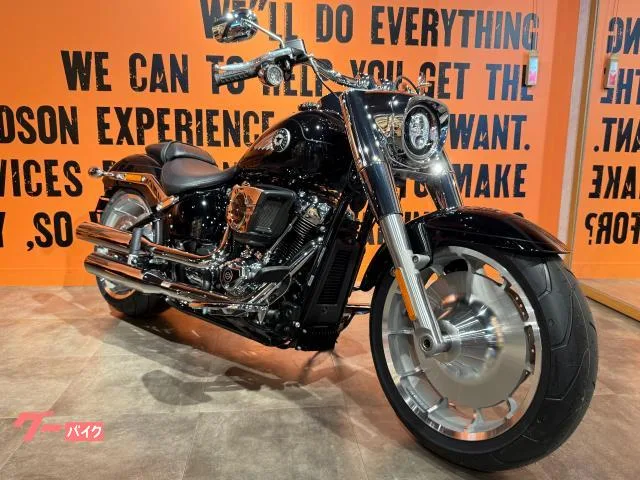 HARLEY-DAVIDSON FLFB 117 2025 — миниатюра 2