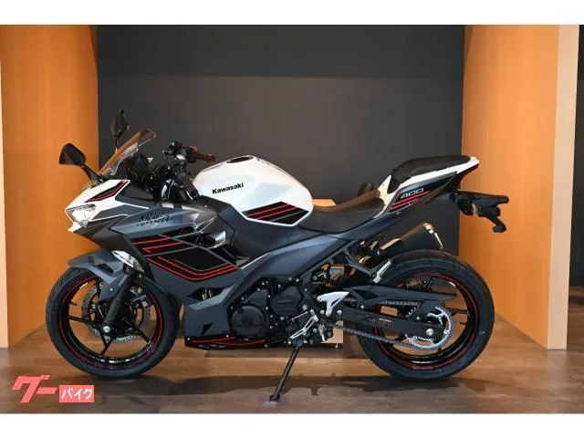 Kawasaki Ninja 400 2024 — миниатюра 2