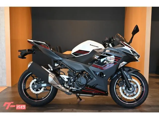 Kawasaki Ninja 400 2024 — миниатюра 3
