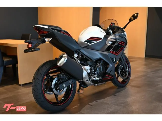 Kawasaki Ninja 400 2024 — миниатюра 4