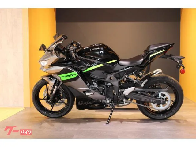 Kawasaki Ninja ZX-25R SE 2026 USB 2026 — миниатюра 2