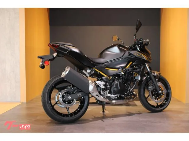Kawasaki Z500 NEW 2026 — миниатюра 3