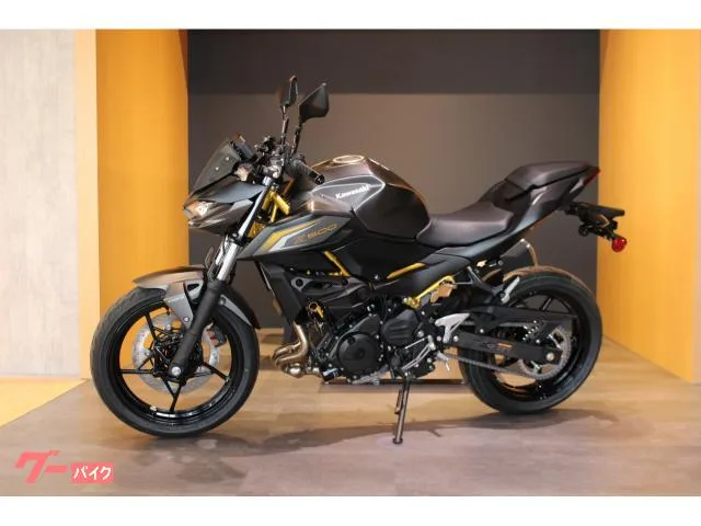 Kawasaki Z500 NEW 2026 — миниатюра 4