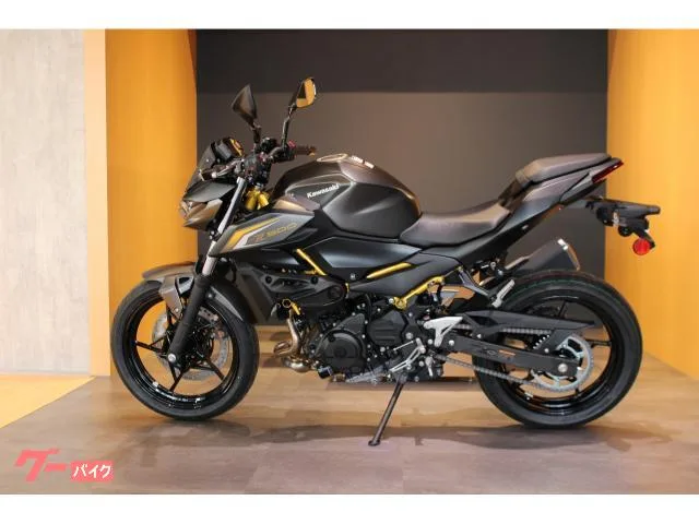 Kawasaki Z500 NEW 2026 — миниатюра 5