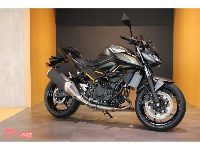 Kawasaki Z500 NEW 2026 — фото 1, купить с доставкой в Москву
