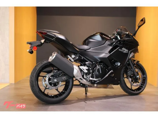 Kawasaki Ninja 500 NEW 2026 — миниатюра 3