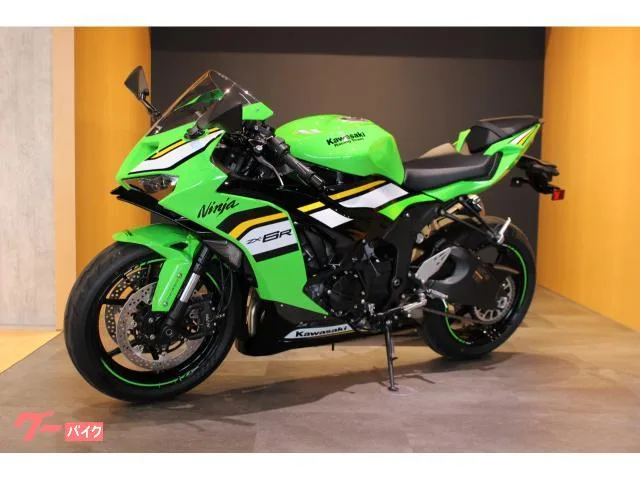 Kawasaki Ninja ZX-6R KRT 2025 — миниатюра 4