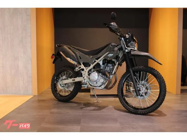 Kawasaki KLX230 2025 — фото 1, купить с доставкой в Москву