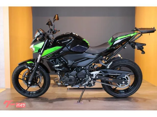 Kawasaki Z250 ETC2.0 ENDURANCE 2023 — миниатюра 2