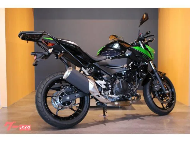 Kawasaki Z250 ETC2.0 ENDURANCE 2023 — миниатюра 3