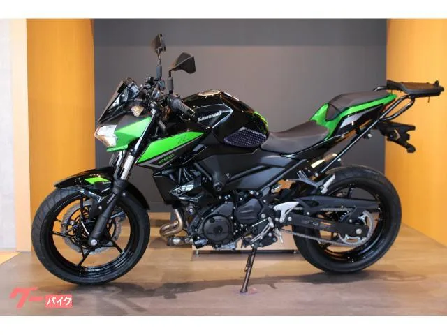 Kawasaki Z250 ETC2.0 ENDURANCE 2023 — миниатюра 4