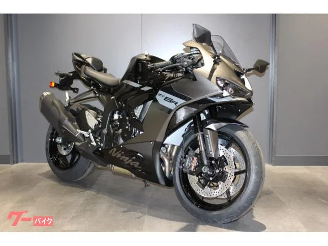 Kawasaki Ninja ZX-6R 636cc 44DOHC 2.0ETC 2026 — фото 1, купить с доставкой в Москву