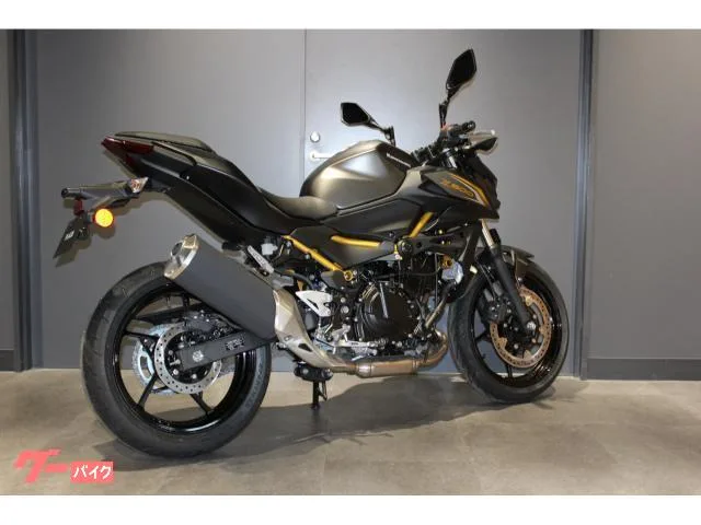 Kawasaki Z500 451cc 42 2026 — миниатюра 5