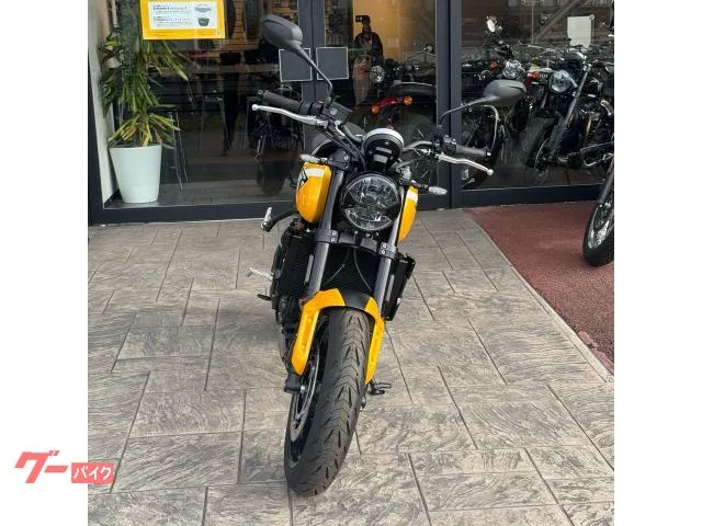 TRIUMPH 660/2025///// 2025 — миниатюра 5