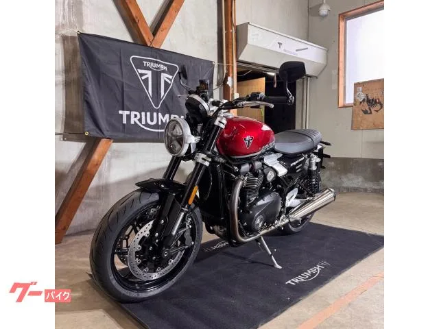 TRIUMPH 1200/2025//105/112Nm//USB 2025 — миниатюра 3