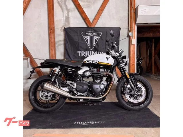 TRIUMPH 1200/2025//105/112Nm//USB 2025 — миниатюра 2