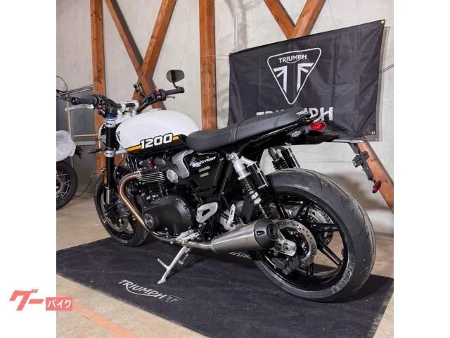 TRIUMPH 1200/2025//105/112Nm//USB 2025 — миниатюра 3