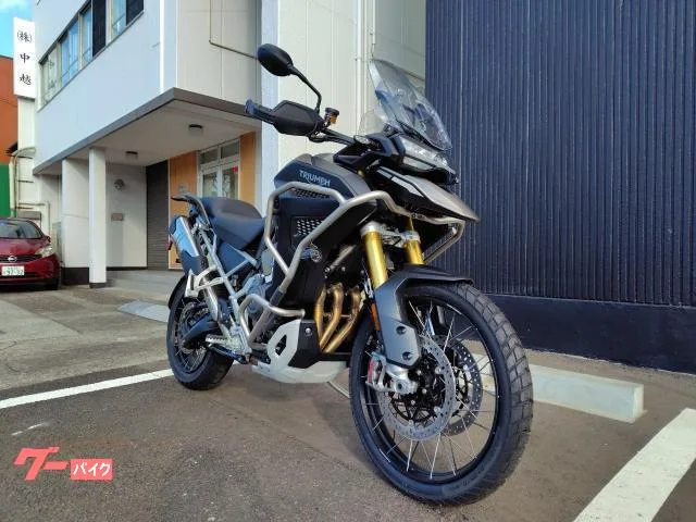 TRIUMPH 1200 2024 — миниатюра 2