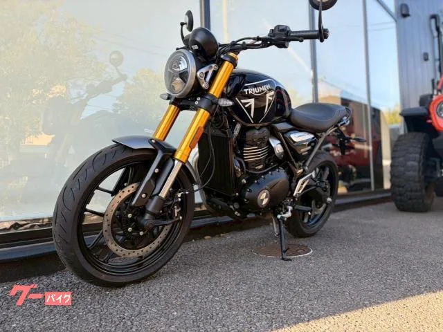 TRIUMPH 400 2026 — миниатюра 4