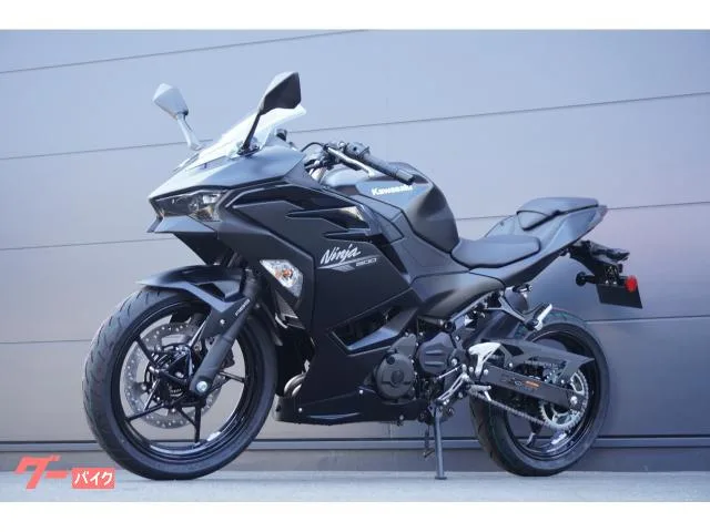 Kawasaki Ninja500 ABS 2026 — миниатюра 2
