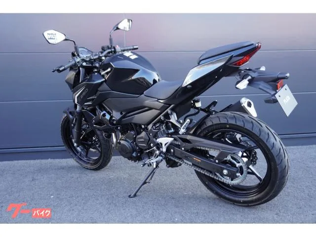 Kawasaki Z250 ABS 2026 — миниатюра 2